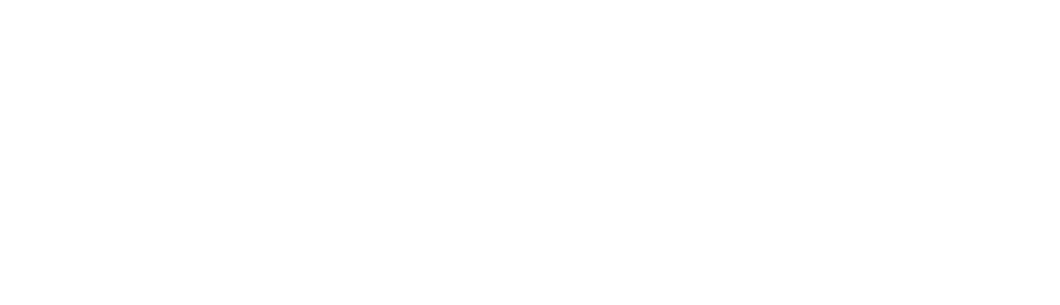 VIFO Insurance